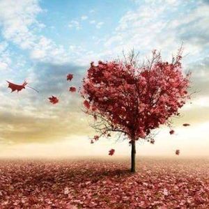 Meet your Posher, Jami